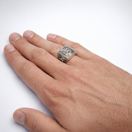 Lion signet silver ring